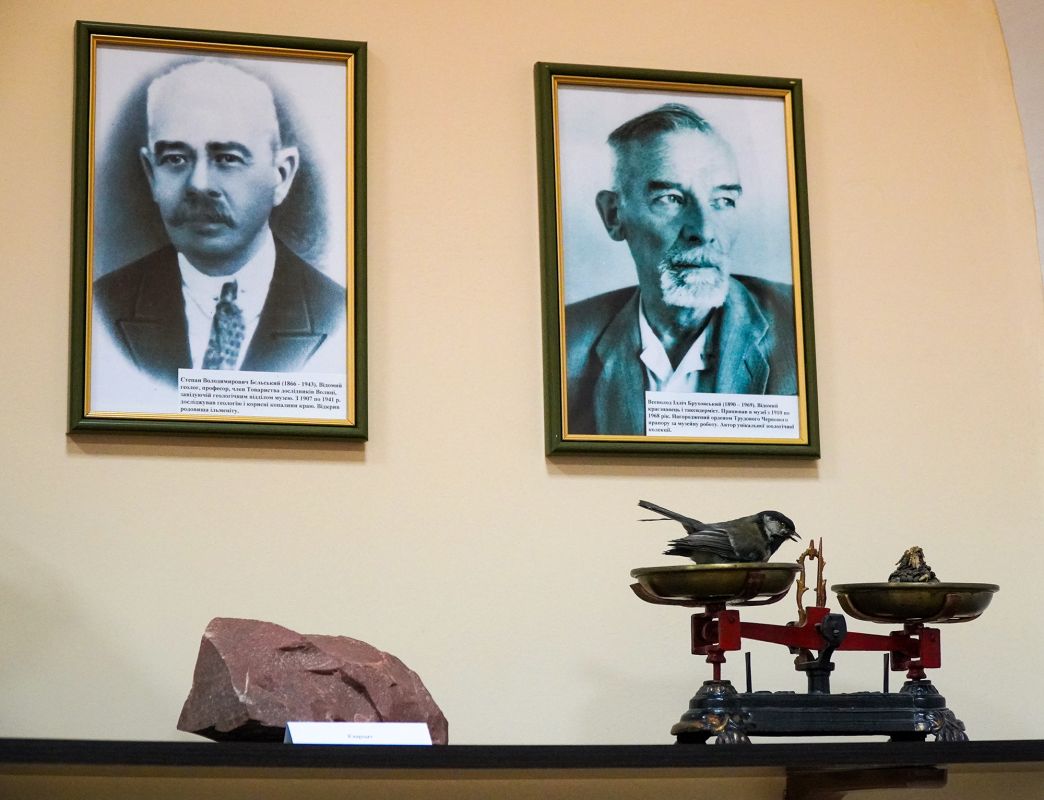 Житомирский музей природы