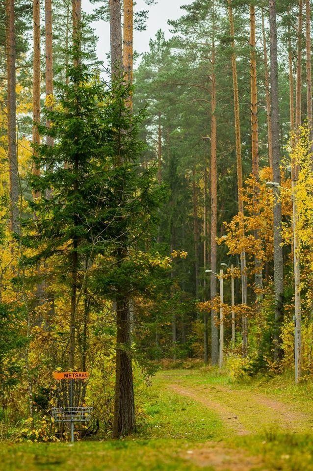 Диск-гольф парк Вооремяэ