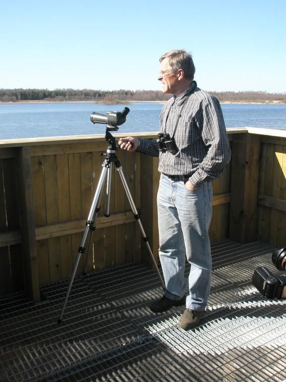 Башня наблюдения за птицами с видом на залив Линнулахт