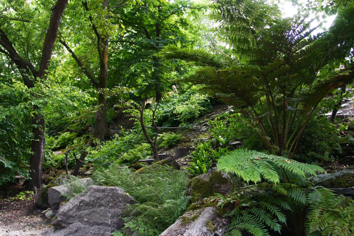 Ботанический сад Тартуского университета