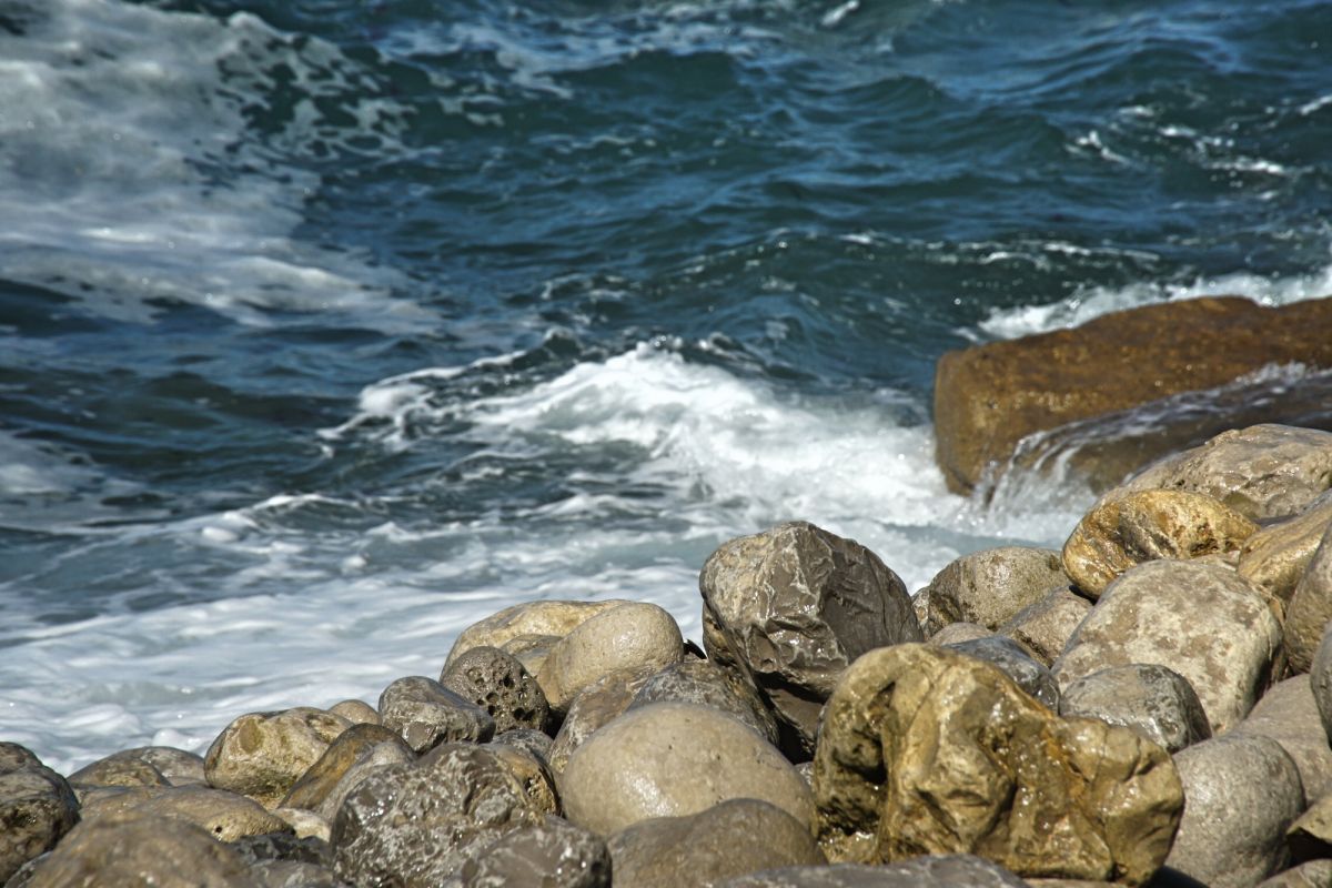 Камперван Дэй Парк