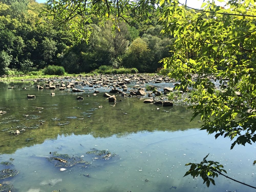 Река Тетерев