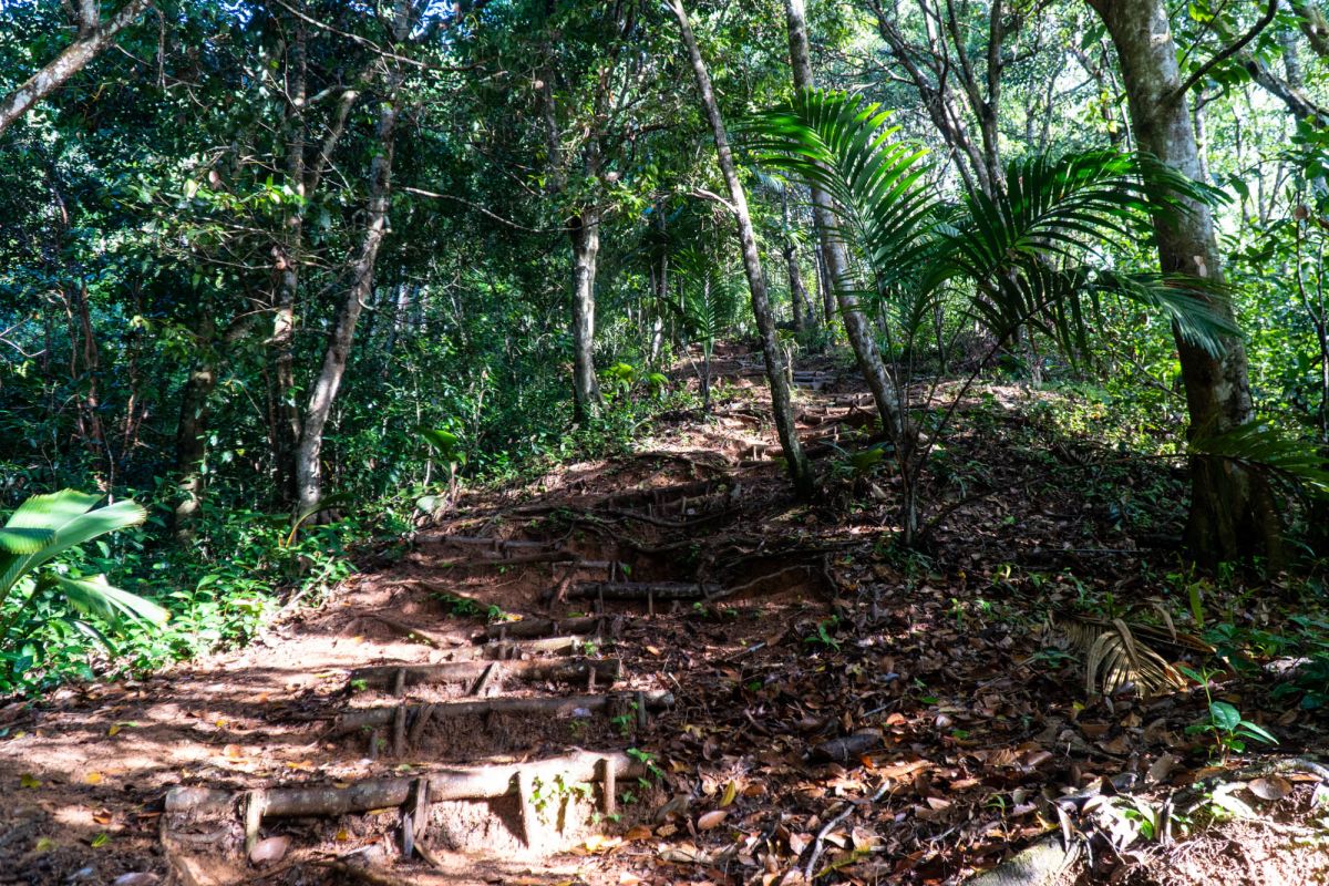 Морн Блан Трейл