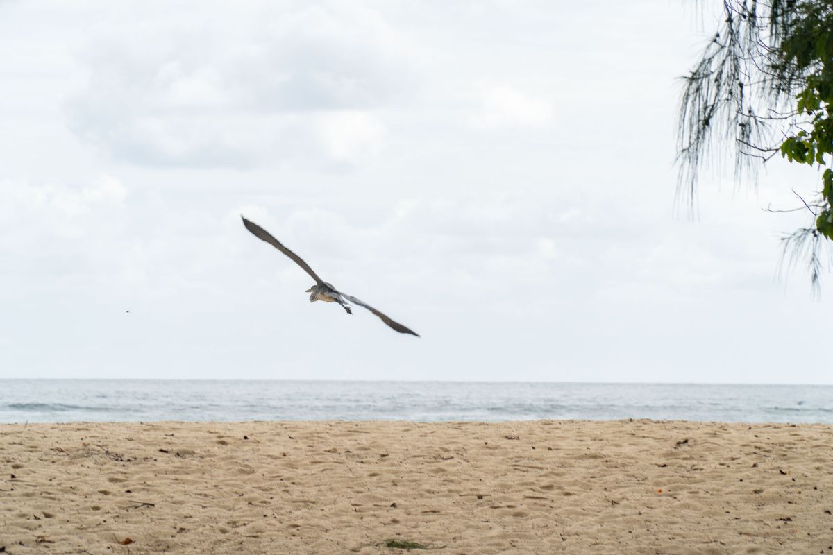 Пляж Анс Интенданс