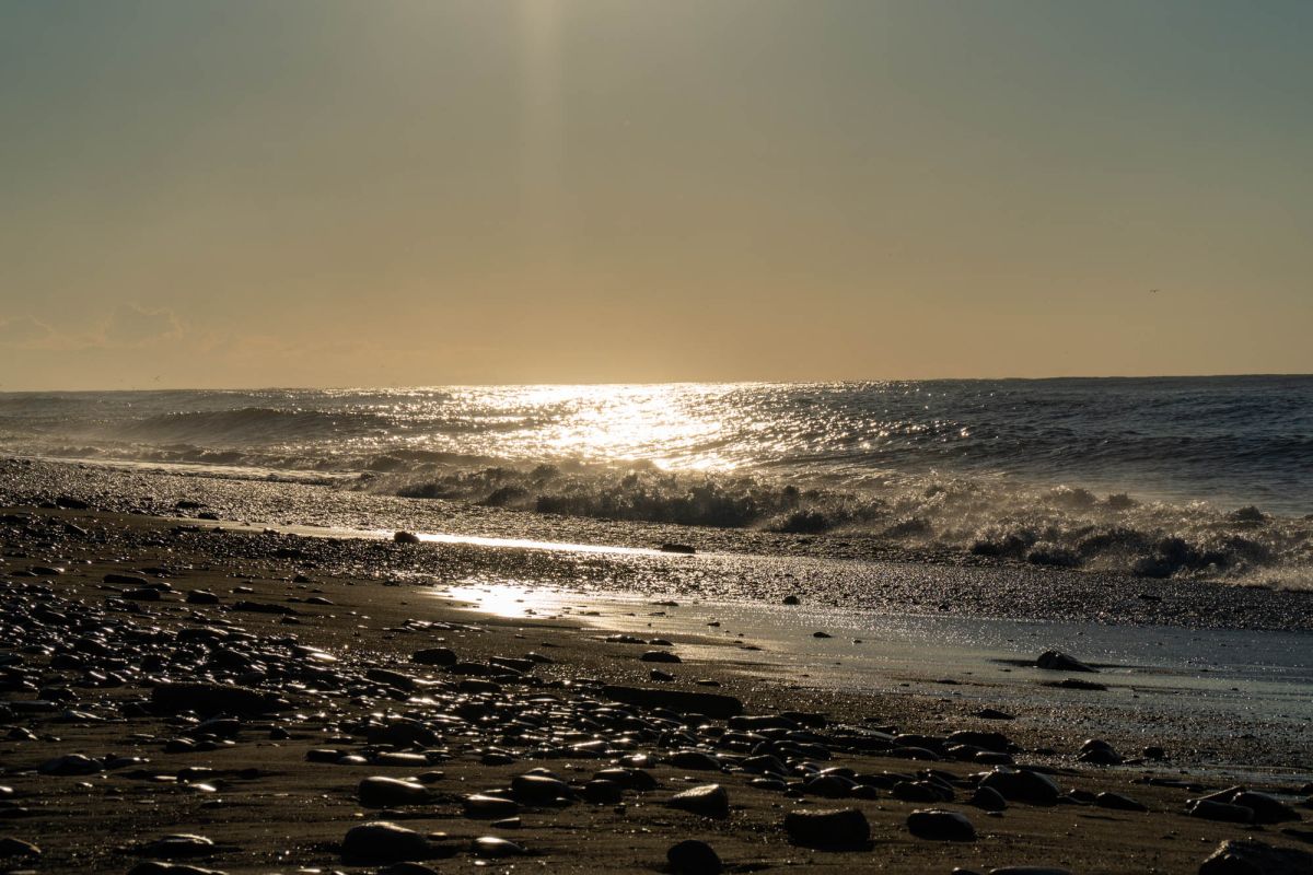 Приморский парк (Батумский бульвар)