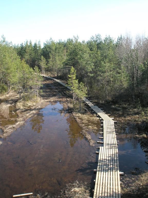 Башня наблюдения за птицами с видом на залив Линнулахт