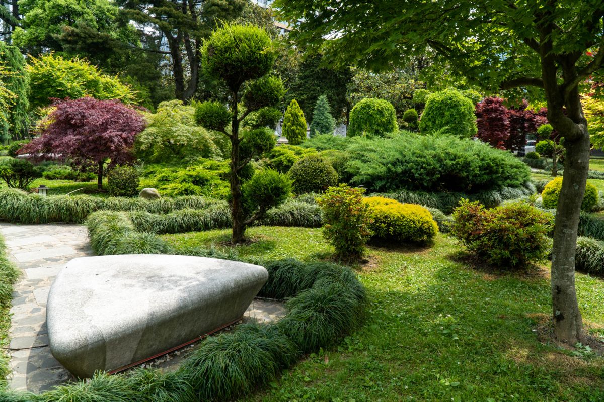 Японский сад в Батуми