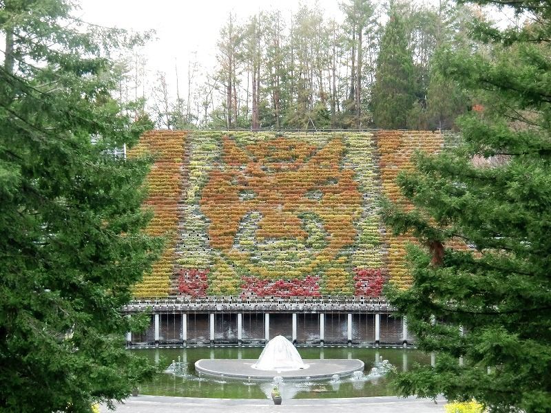 Ботанический парк города Удзи