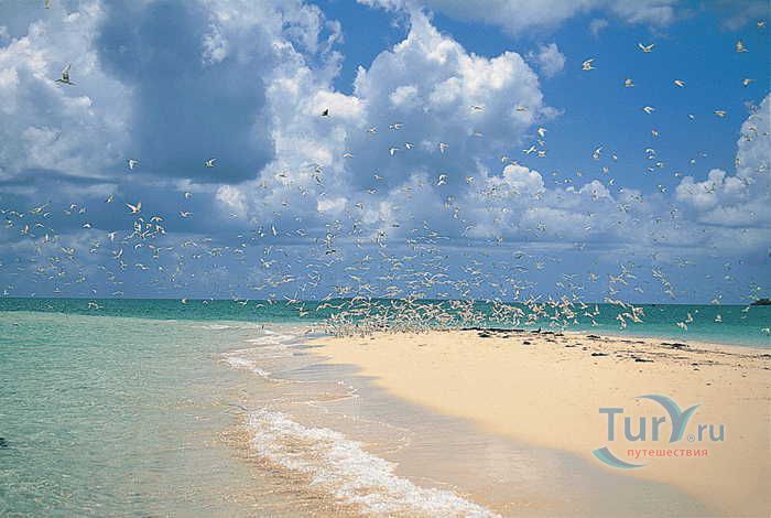 Сэндбэнк Бэй