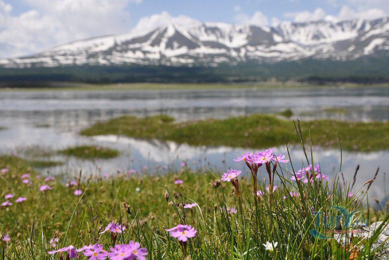 Озеро Хурган