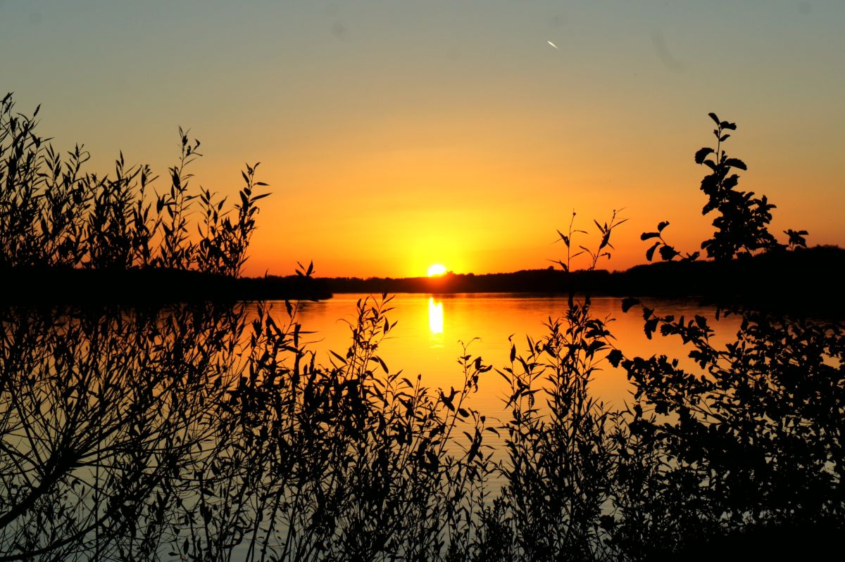 Тетеревский лес