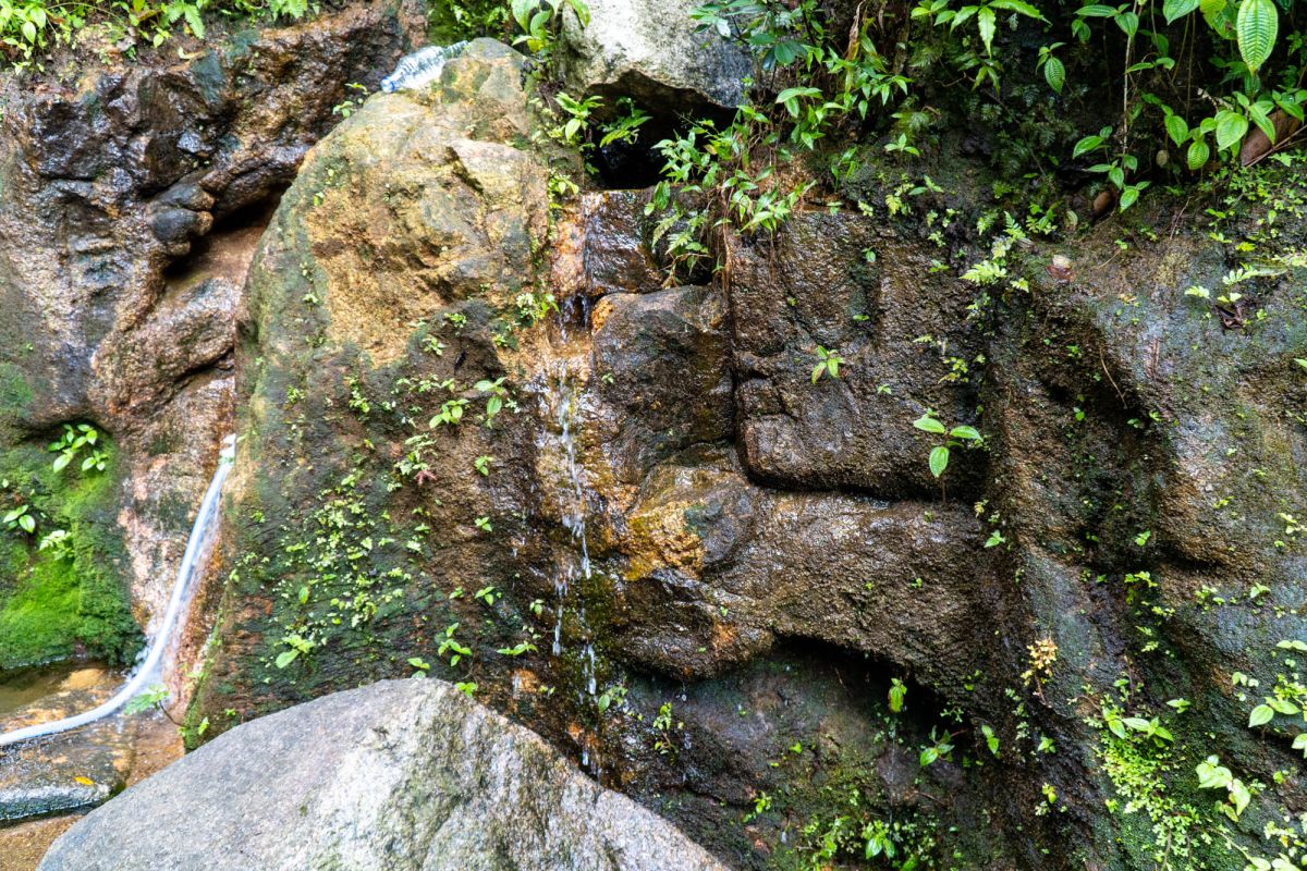 Морн Блан Трейл