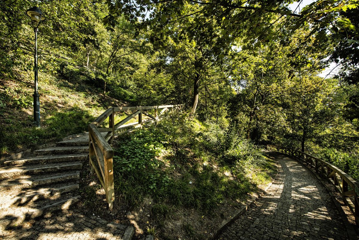 Сад Кинских