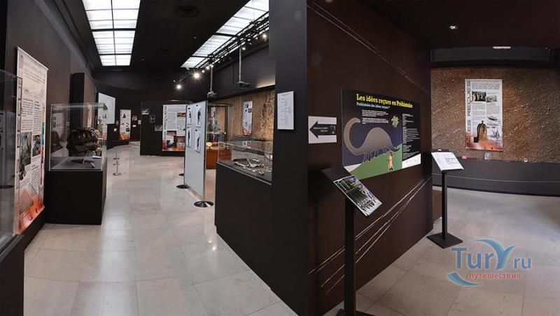 Музей доисторической антропологии