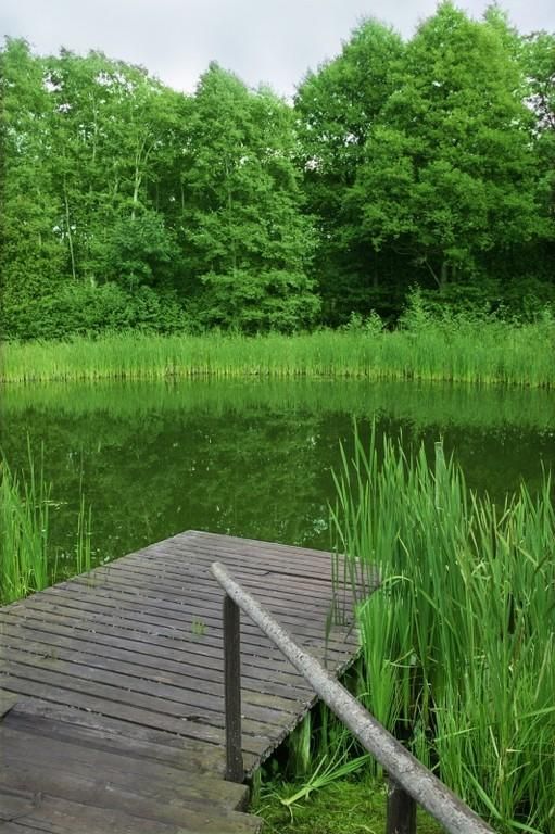 Курная баня Туристического хутора Сетумаа