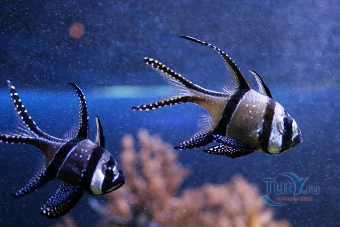 Музей Воды Аквариа