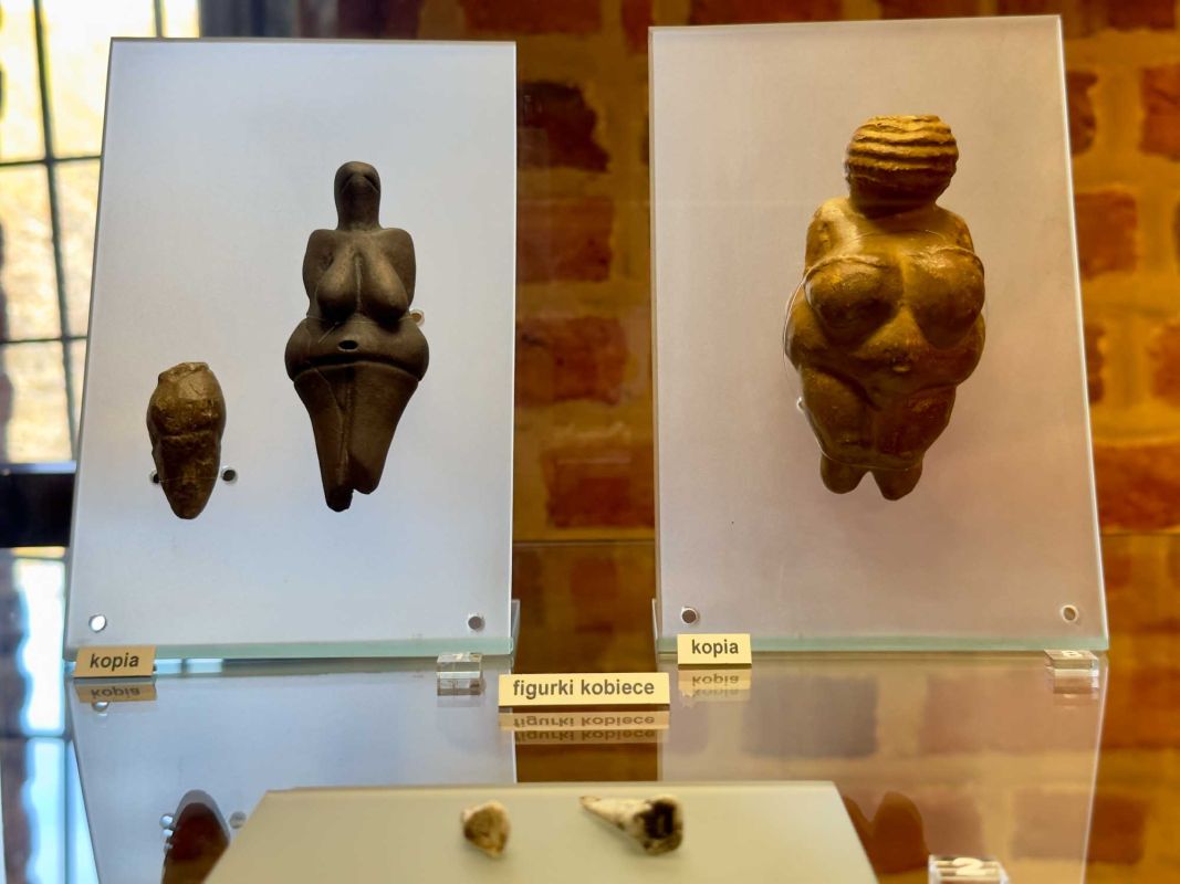 Вроцлавский археологический музей