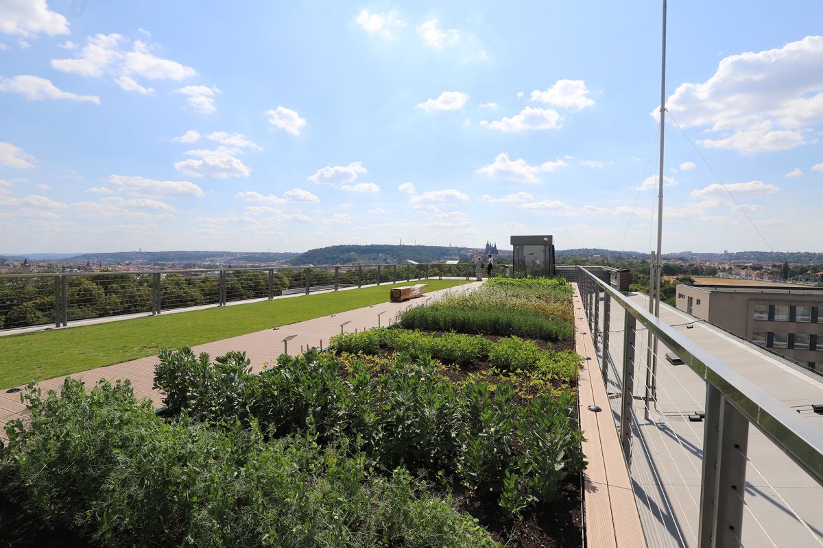 Национальный сельскохозяйственный музей