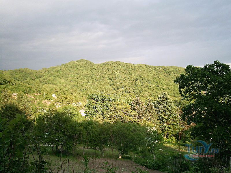 Сихотэ-Алинский государственный природный биосферный заповедник