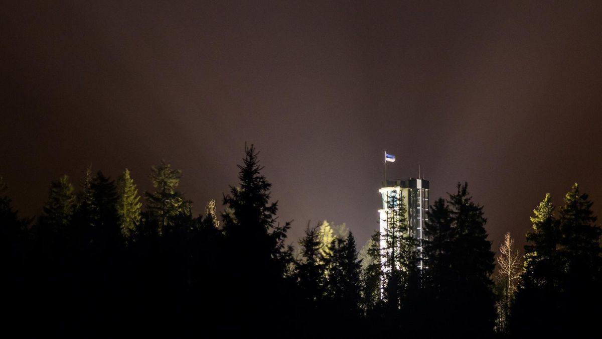 Смотровая вышка Суур-Мунамяги (Большая Мунамяги)