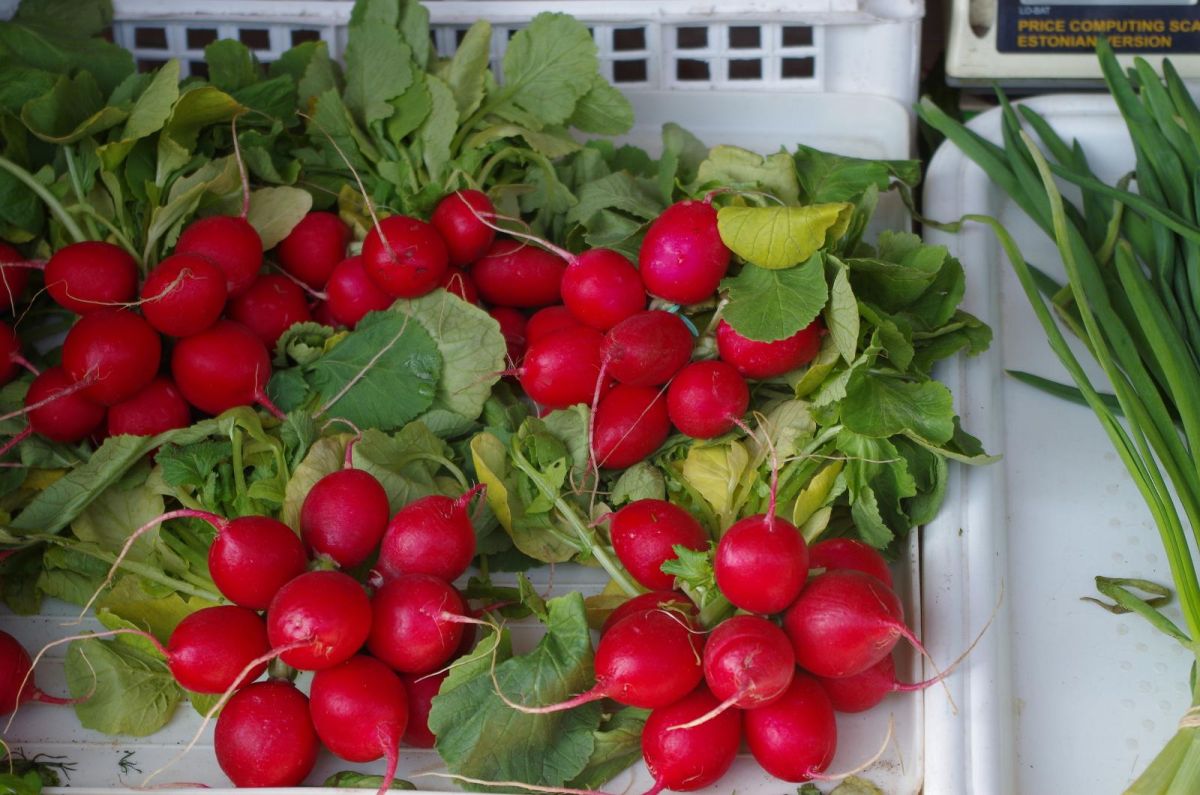 Центральный рынок Тарту