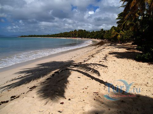 Пляж Ле Сален