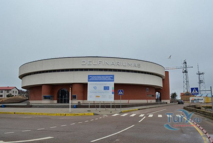 Дельфинарий