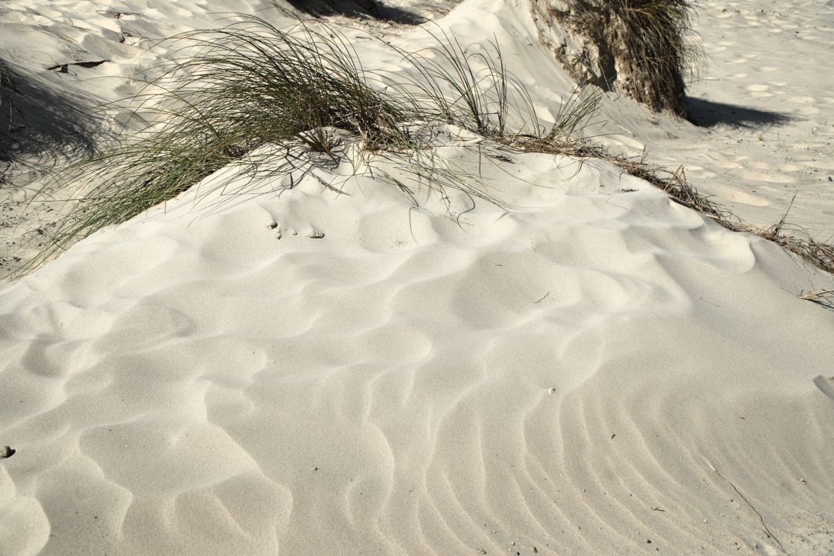 Пляж Пениши де Сима