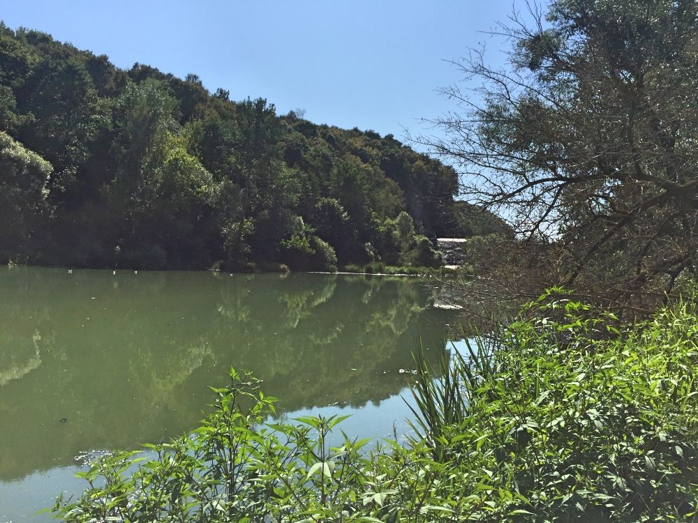 Река Тетерев