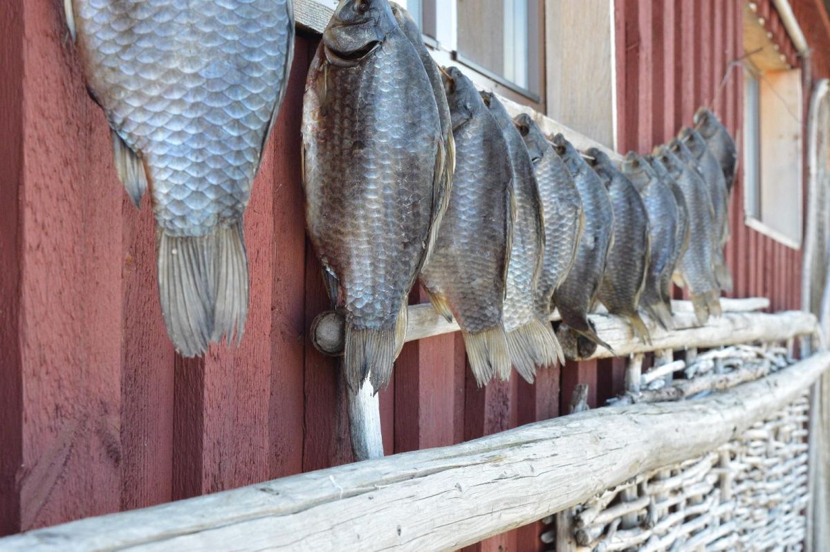 Кафе в порту Когува