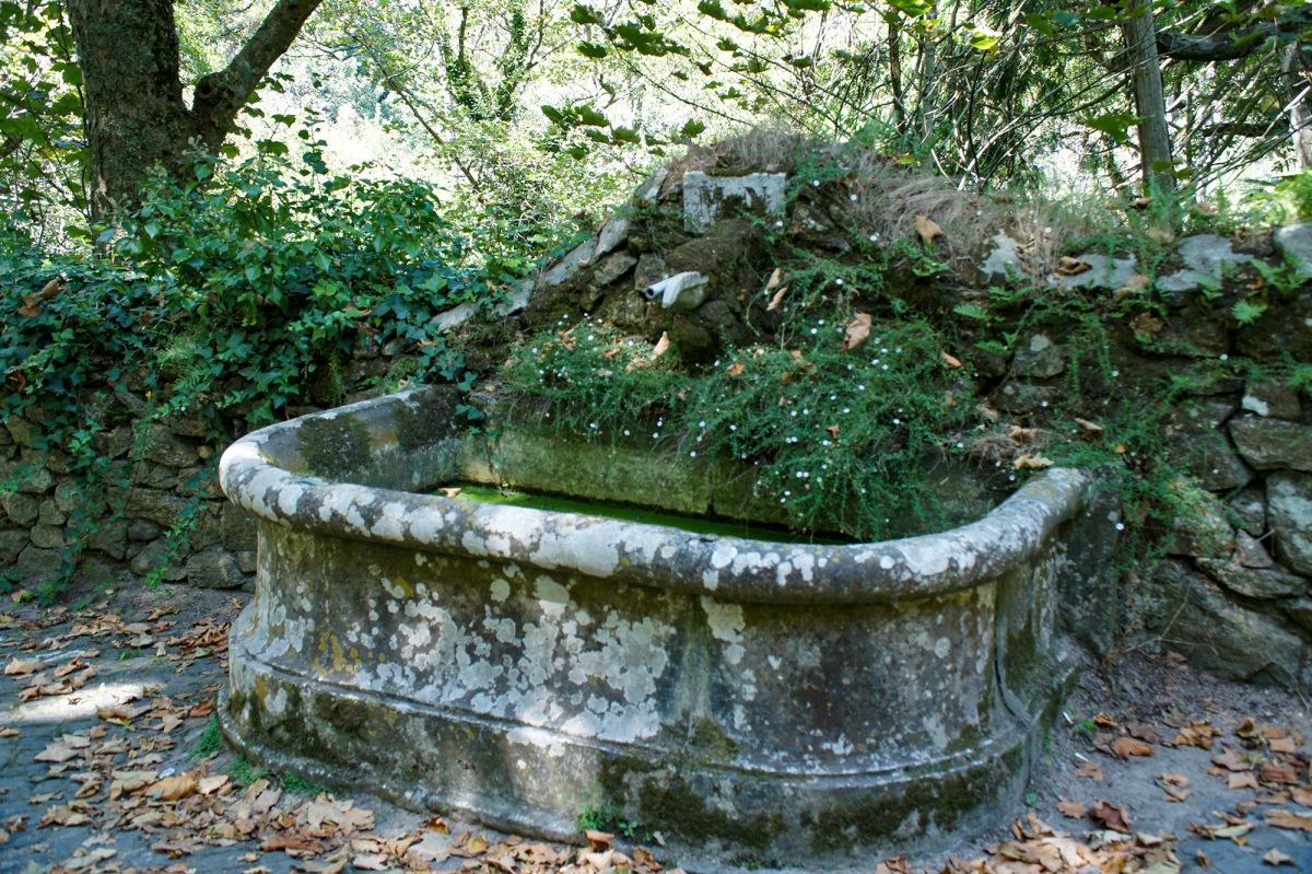 Ботанический сад Вале-дус-Лагуш-э-Патейра (Vale dos Lagos e Pateira)