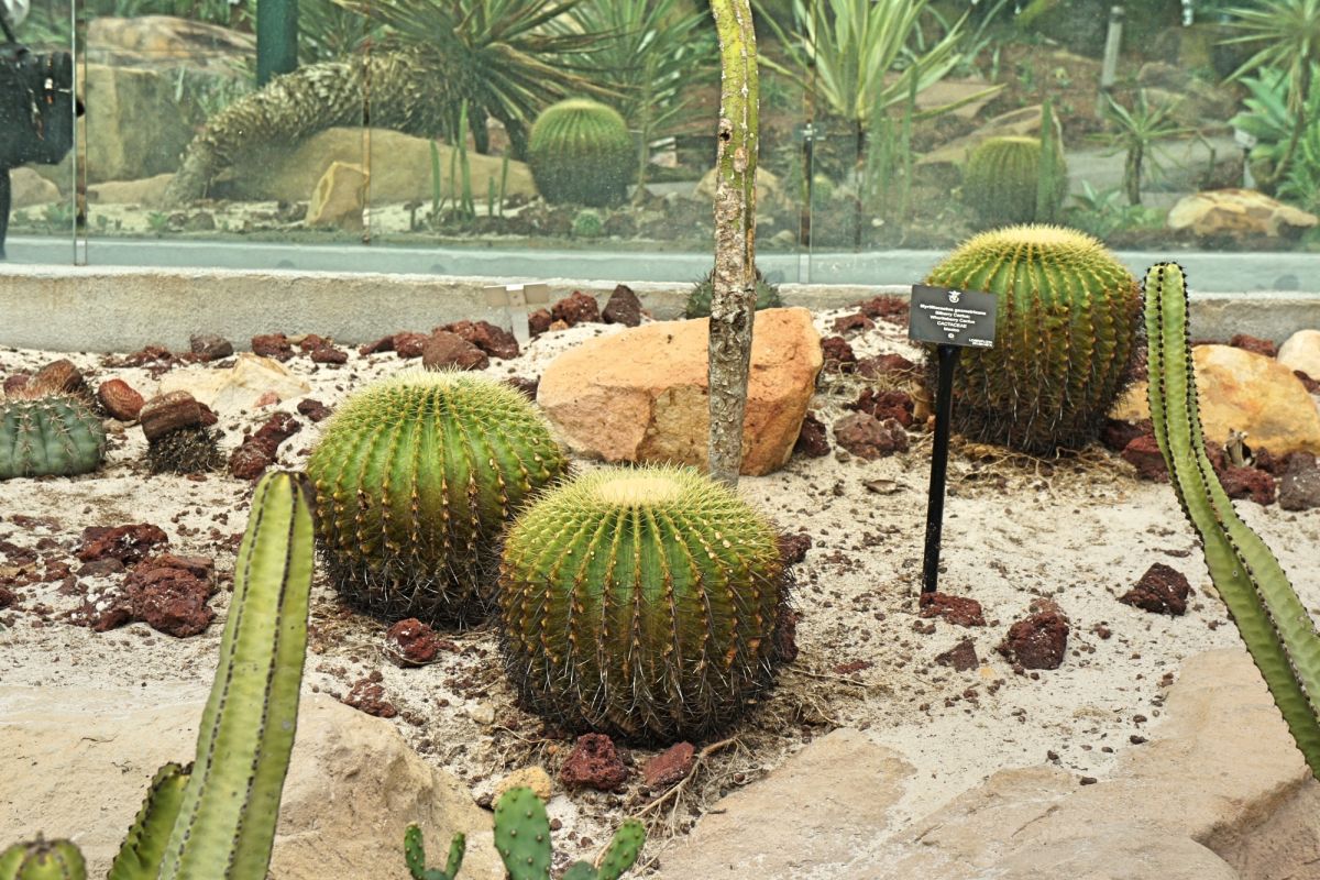 Парк Нассим Гейт