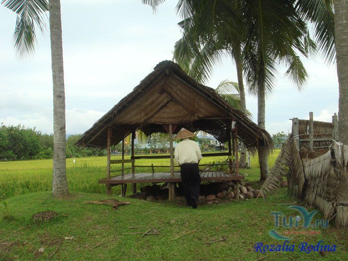 Музей риса Ламан Пади