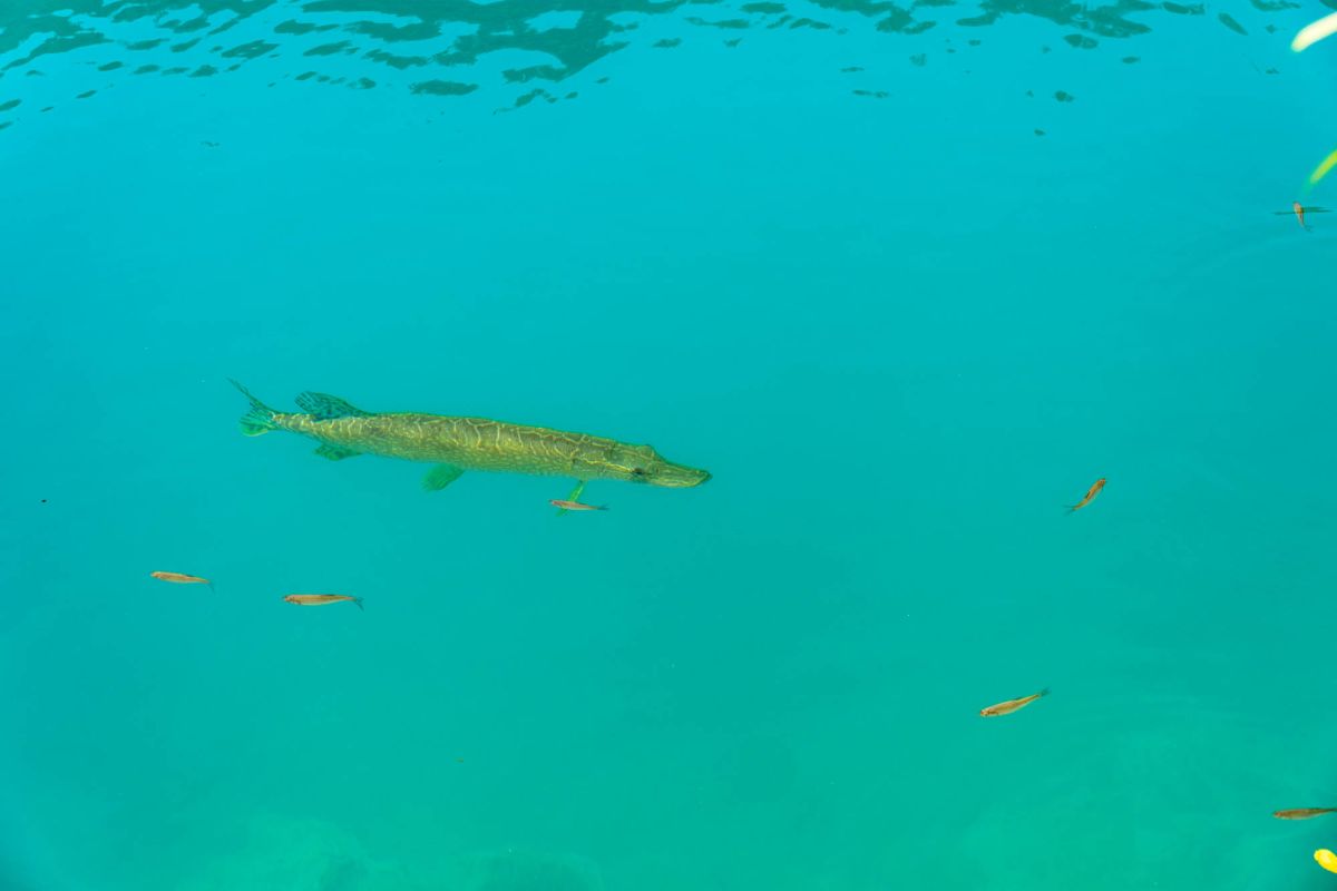 Национальный парк Плитвицкие озера