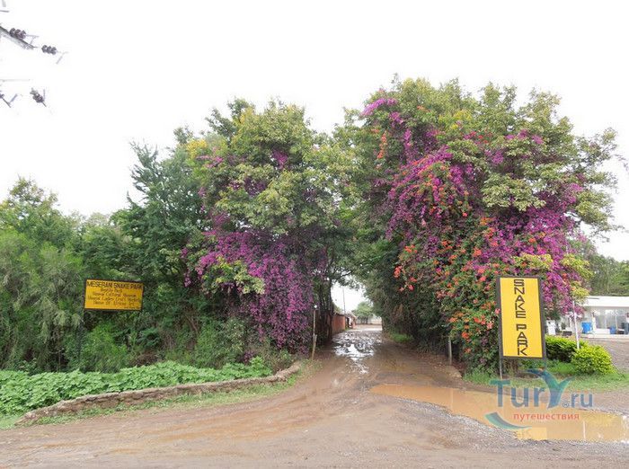 Парк Змей Месерани