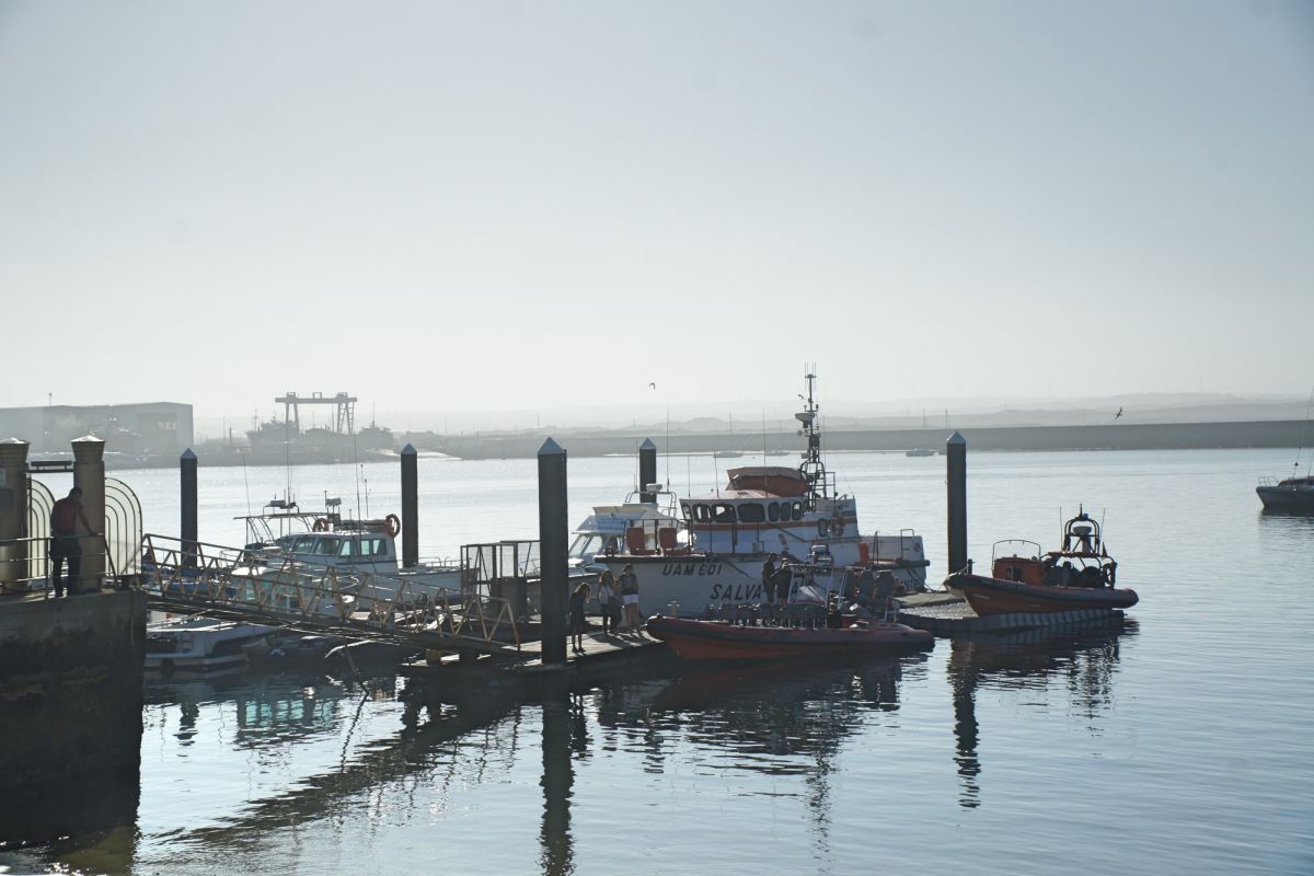 Гавань Пениши