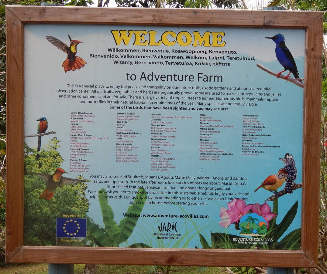 Ферма и Природный Заповедник Приключения  (Adventure Farm & Nature Reserve)