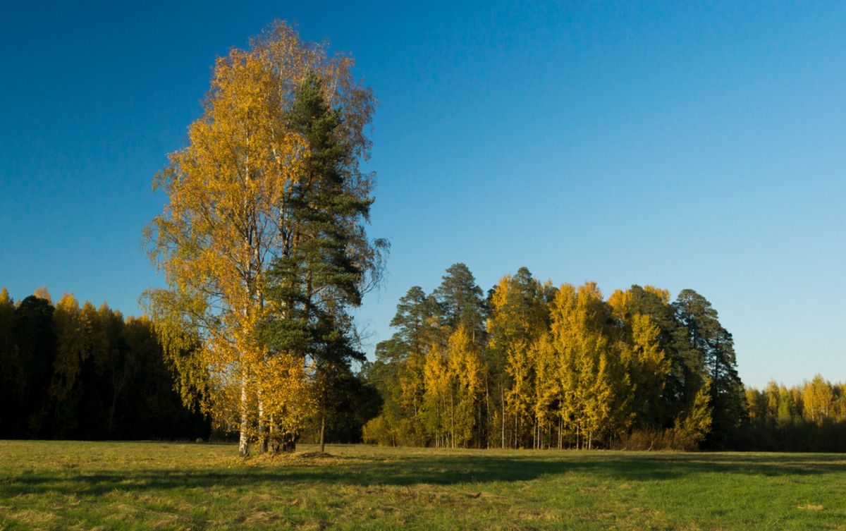 Самое красивое место