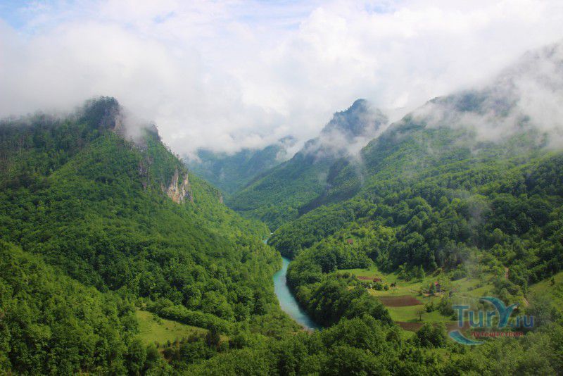 Каньон реки Тара