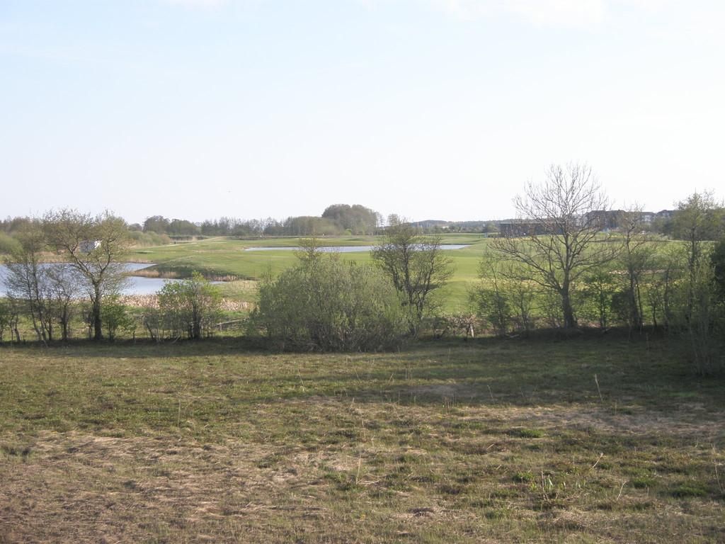 Смотровая вышка на лугу Пыдусте для наблюдения за природой и птицами