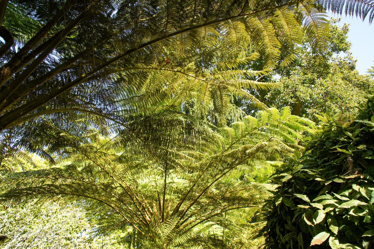 Дворцово-парковый комплекс Кинта да Регалейра