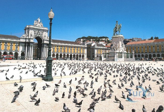 Торговая площадь (Дворцовая площадь)