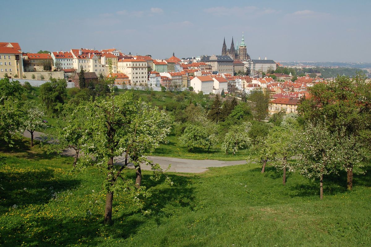 Сады на Петршине