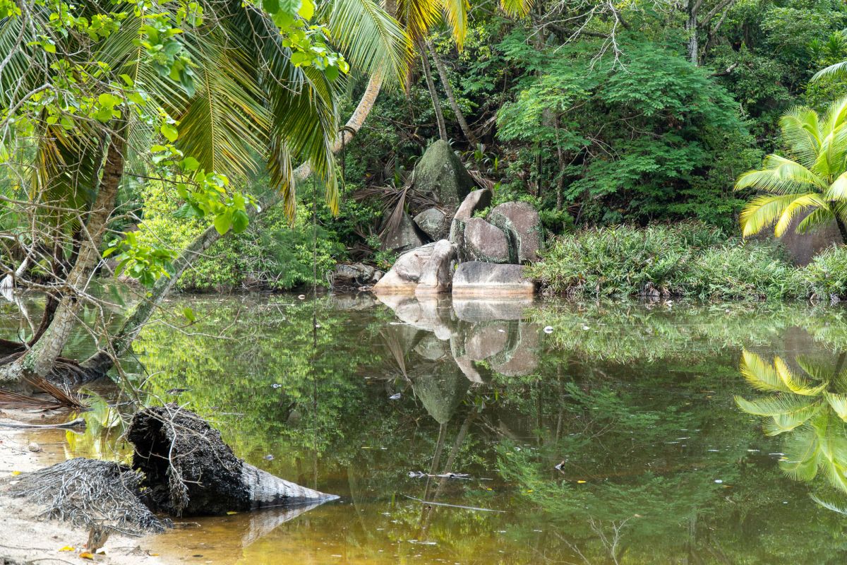 Пляж Анс Интенданс