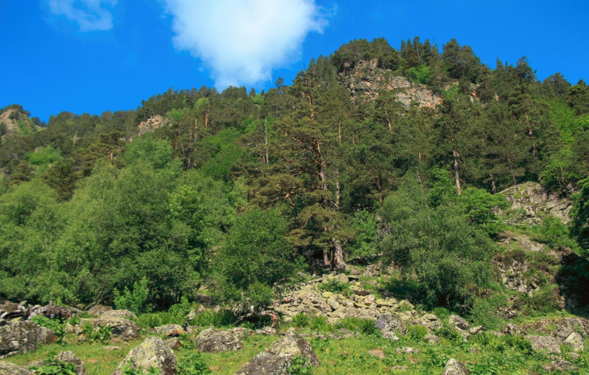 Гора Церковная