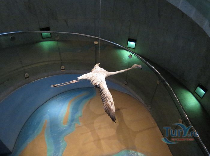 Музей Дубая