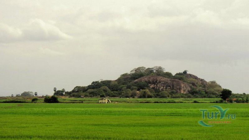 Руины Монастыря Мулликуламалай