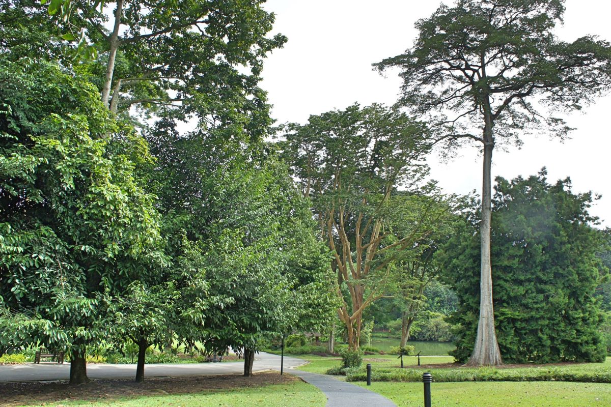 Парк Нассим Гейт