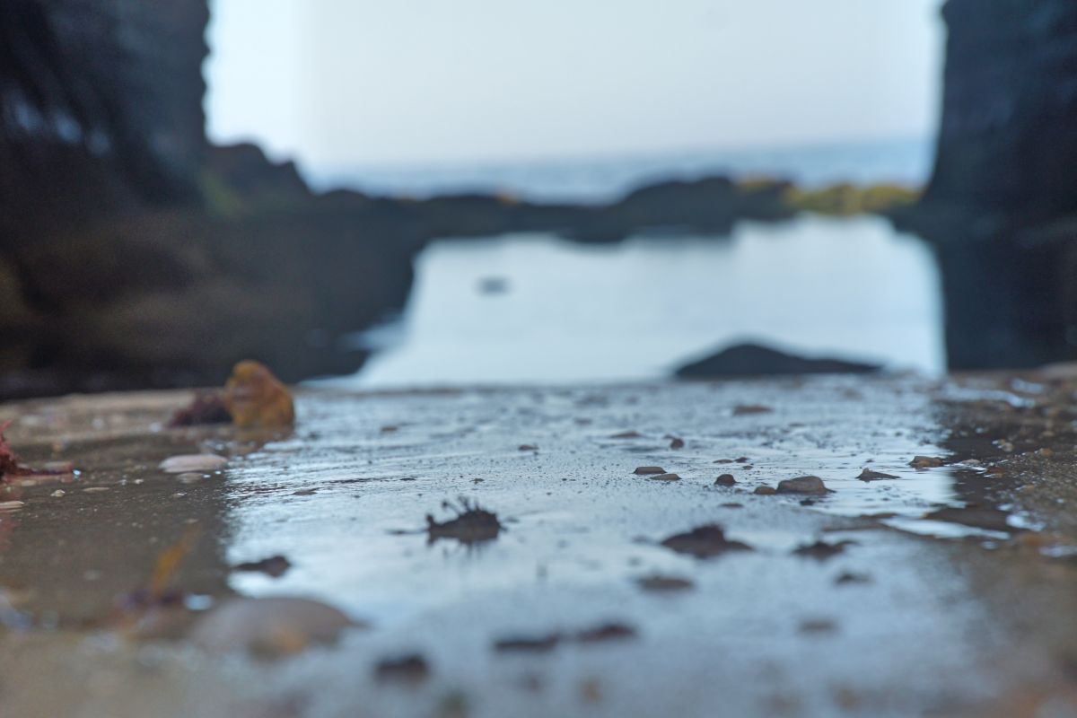 Крепость Пениши