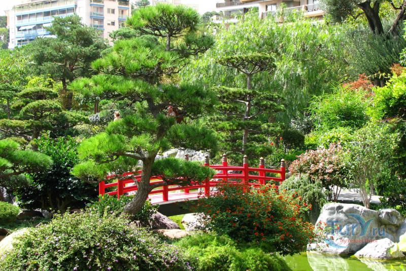 Королевский Японский сад